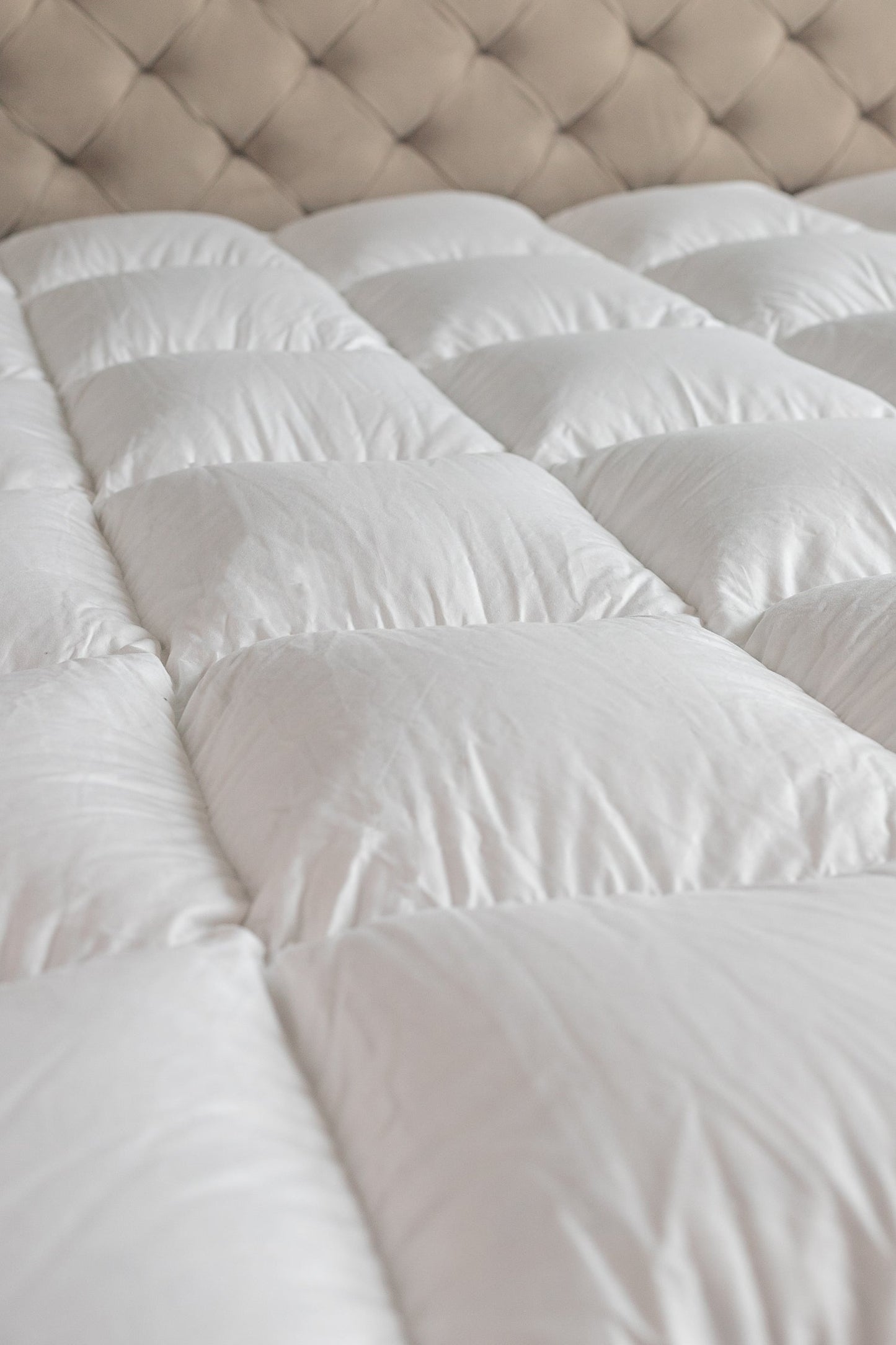 Surmatelas Premium en duvet d'oie sélectionné - PLUME