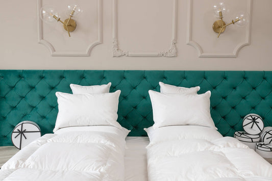 Lot couette & oreiller plumes et plumettes d'oies premium - PLUME