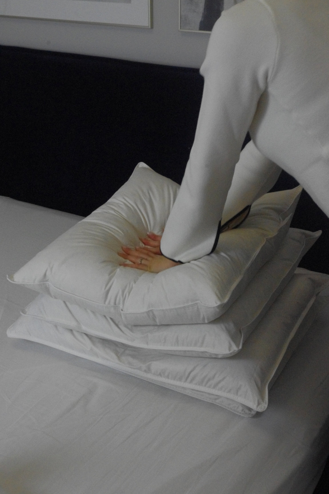 Oreiller plumes et plumettes d'oies premium - PLUME