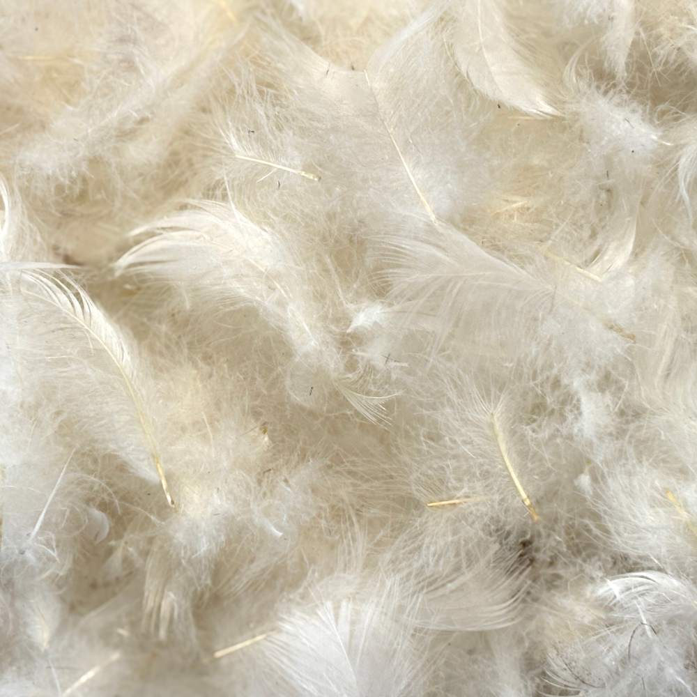 Oreiller PREMIUM FEATHER