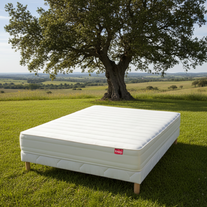 Matelas mousse haute résilience - HIVORY 20 cm
